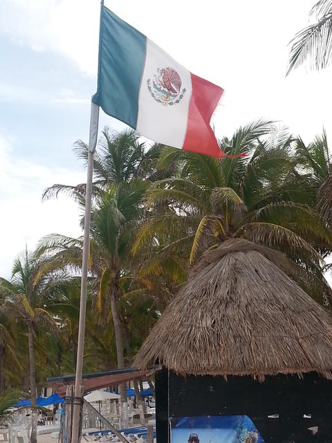 Mexican flag - free image
