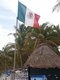 Mexican flag