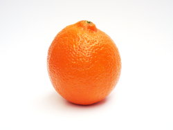 Minneola