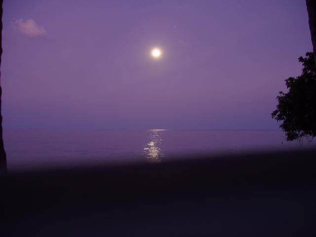 moonlight night - free image
