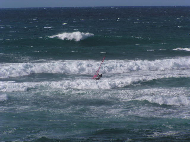 More intrepid windsurfing - free image