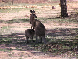 Mother and son