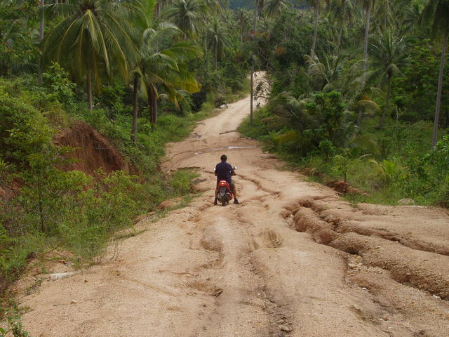 Motorcyclist - free image