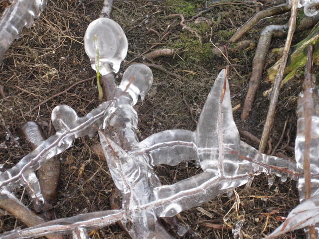 mysterious formation of icicles - free image