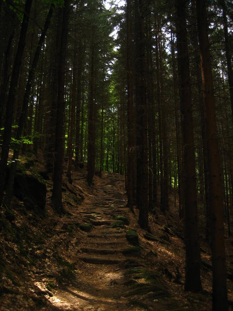 Narrow path - free image