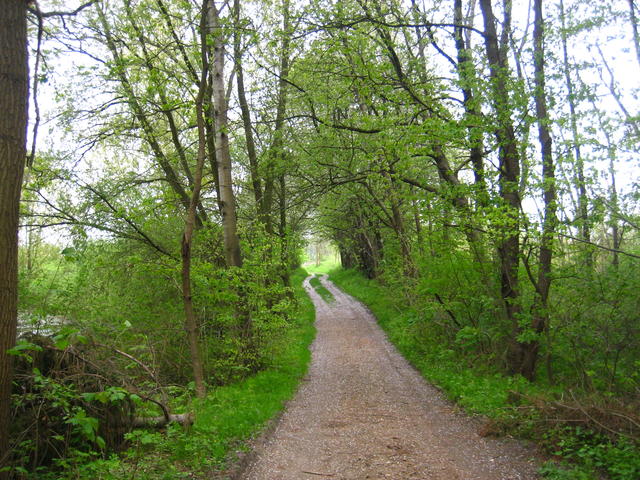 narrow road - free image