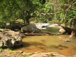 narrow stream