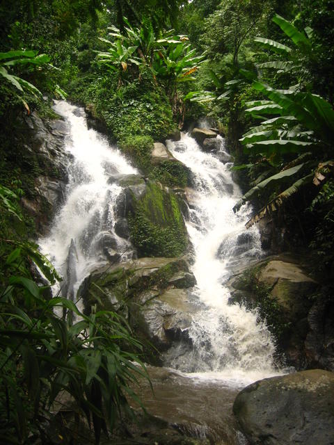 Narrow waterfall - free image