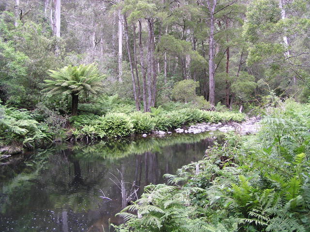 Natural river - free image