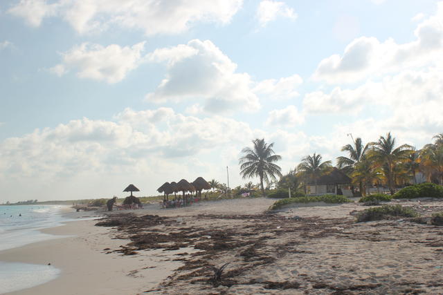 natural tourists' beach - free image