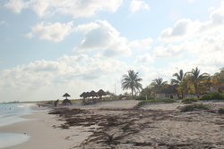 natural tourists' beach