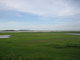 Nature as far as i can see