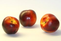 nectarines