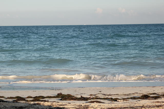 ocean waves and beach - free image