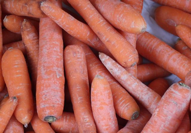 Old carrots - free image