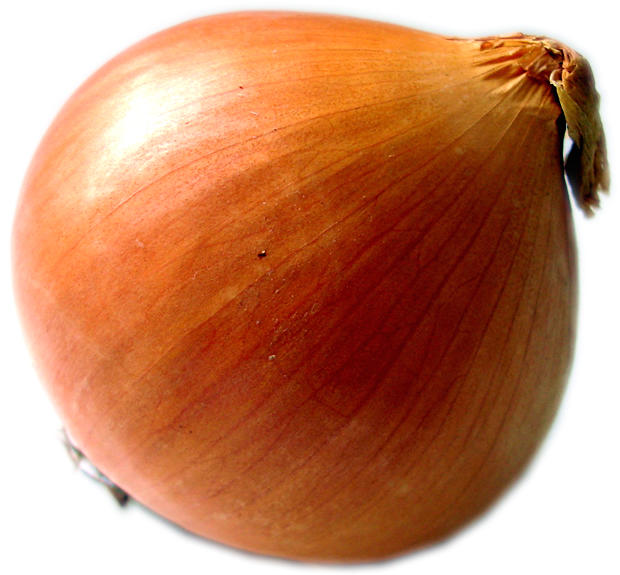 Onion - free image