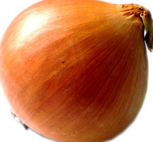 Onion