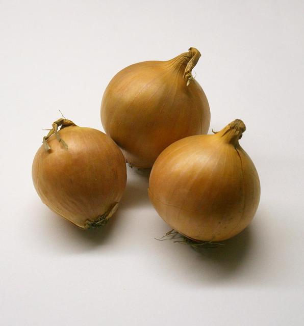 Onions - free image