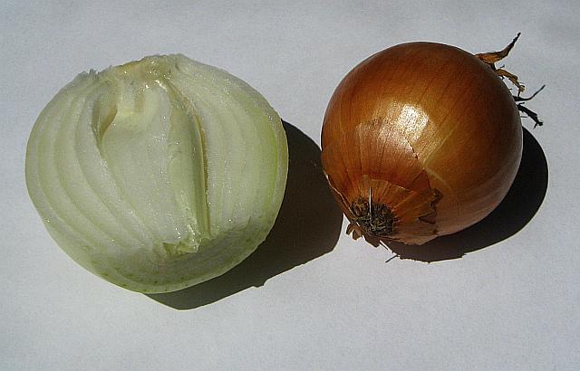 onions - free image