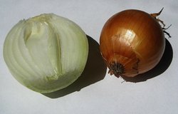 onions