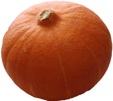 orange pumpkin