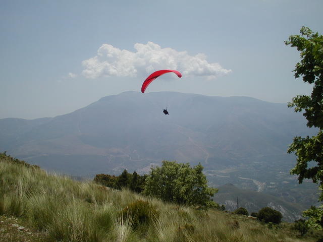 paragliding - free image