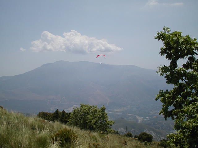 Paragliding - free image