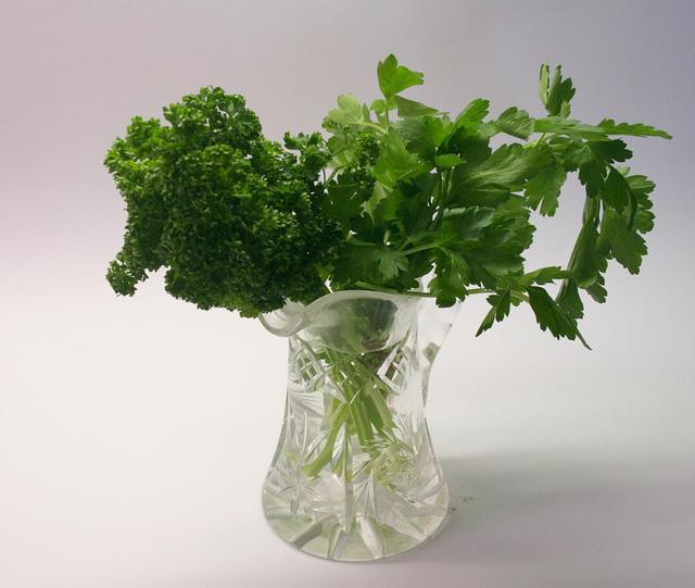 Parsley Vase - free image