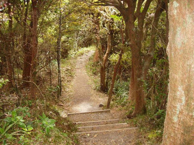 Pathway - free image