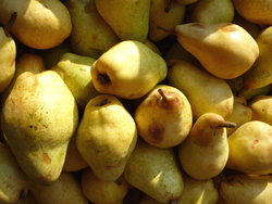 pears