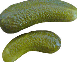 pickled cucumbers