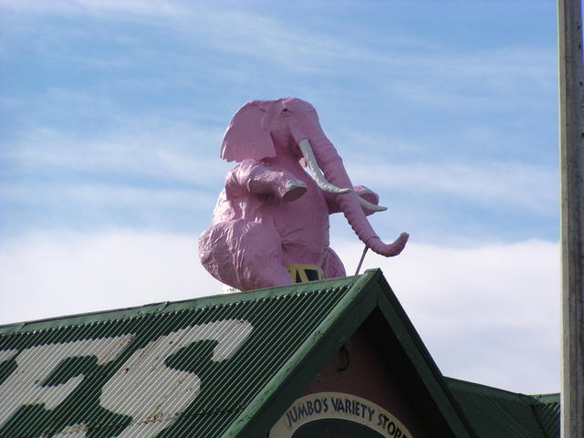 pink elephant - free image