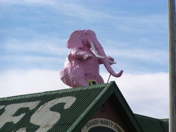 pink elephant