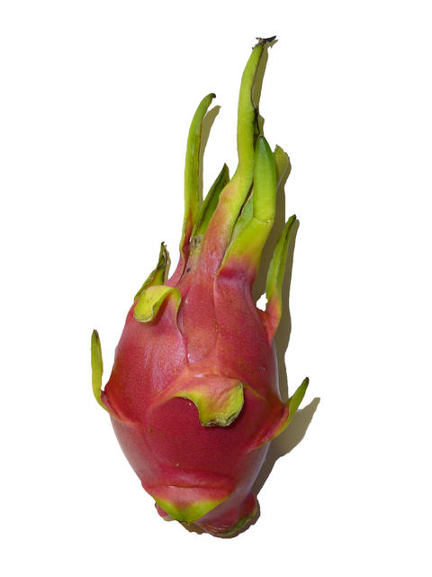 pitahaya - free image