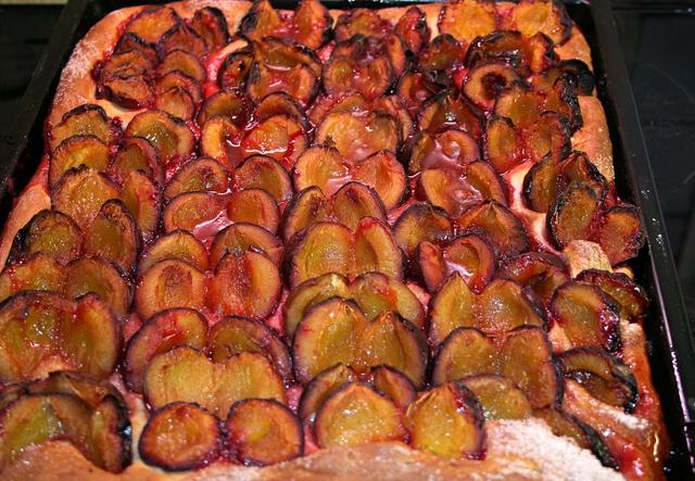 plum tart - free image