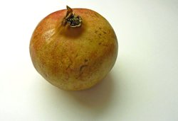 pomegranate