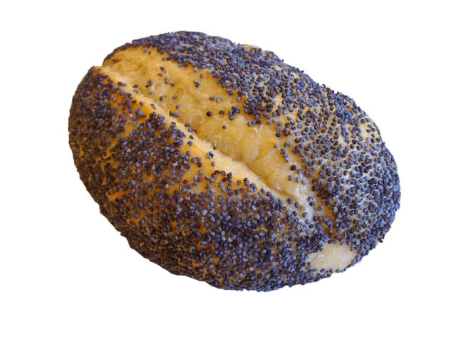 poppy seed bun - free image