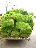 portable lawn