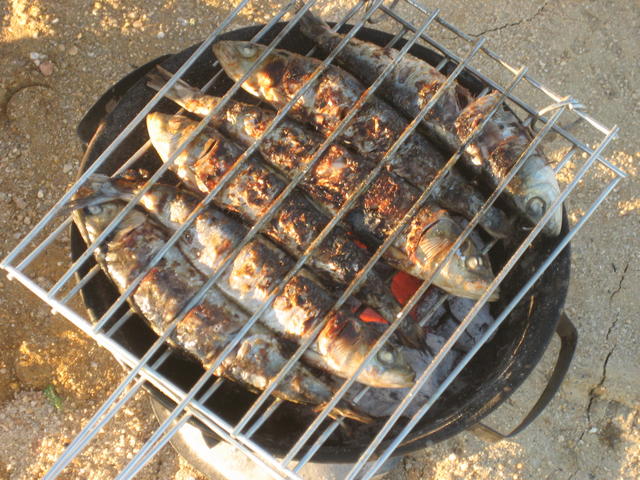 Portuguese Grilled Fish - free image