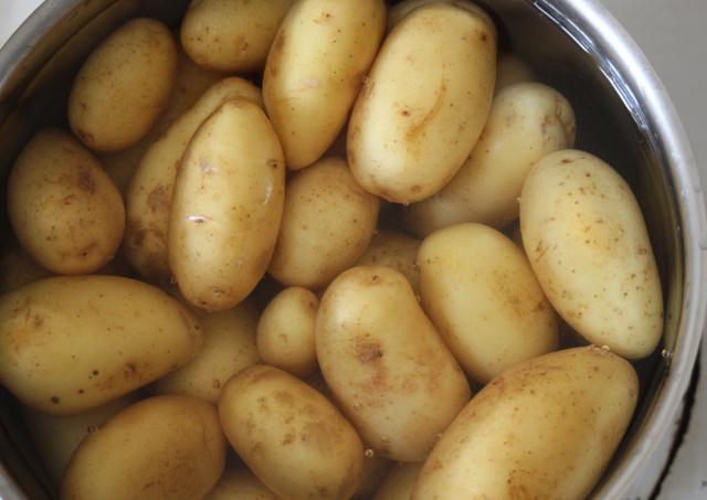 Potato - free image