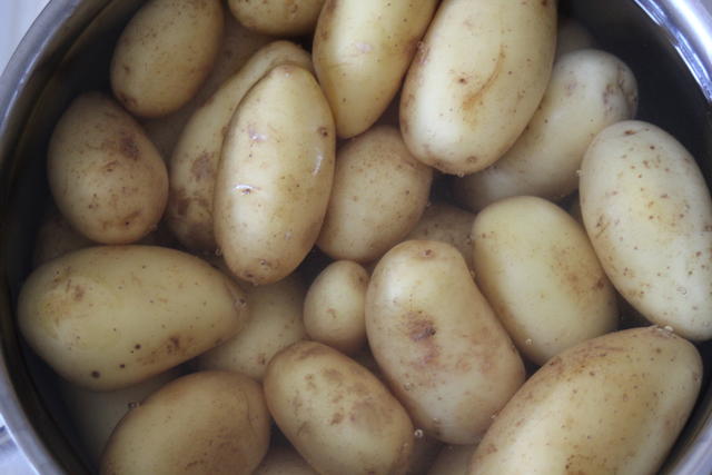 potato - free image