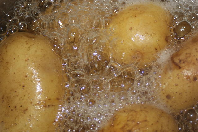 potato - free image