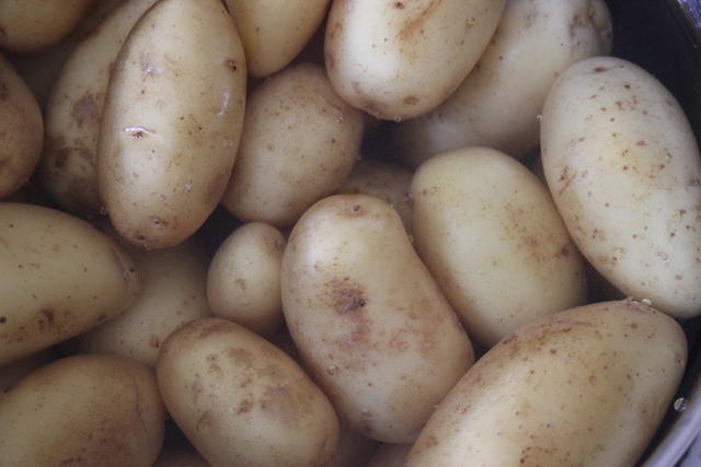 potatoes - free image