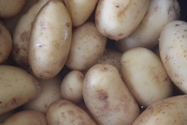 potatoes - free photo potatoes - free image