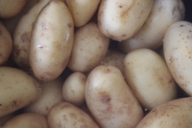 potatoes - free image