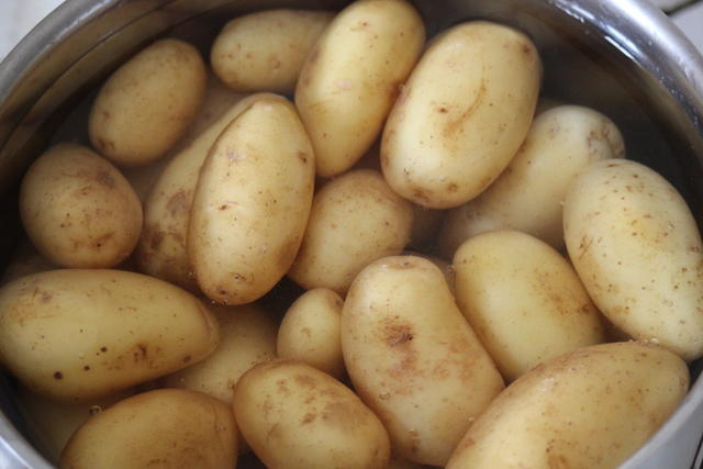 Potatoes - free image