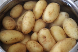 Potatoes