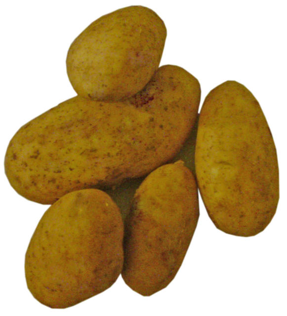 Potatoes - free image