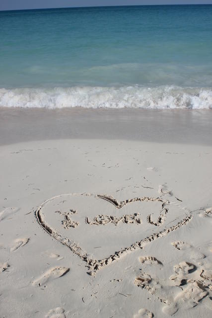 public love declaration - free photo public love declaration - free image