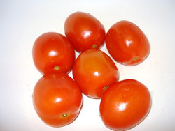 Pulpy tomatoes